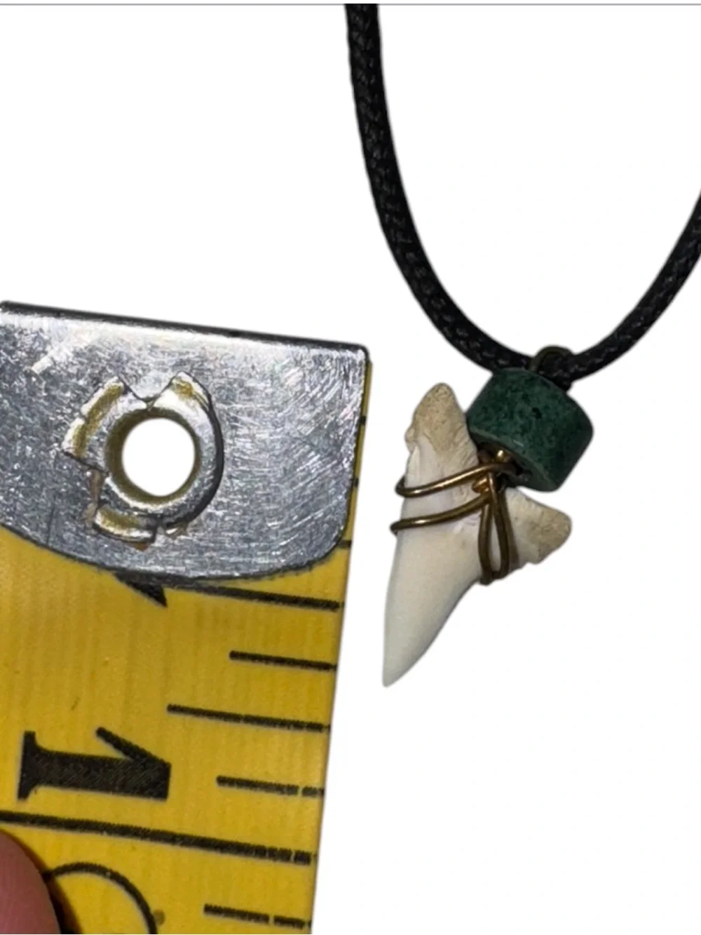 Shark Tooth Pendant Necklace with Green Bead